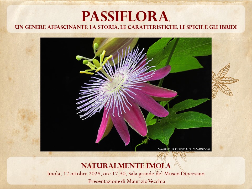 Le Passiflora, conferenze e proiezioni di Maurizio Vecchia