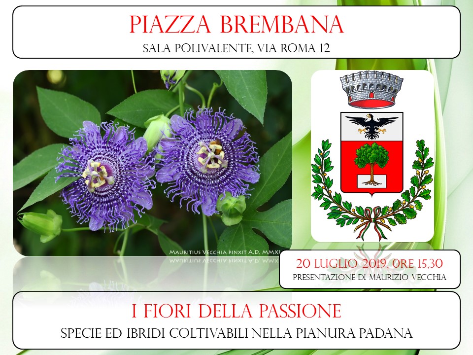 Passiflora, lectures and screenings by Maurizio Vecchia